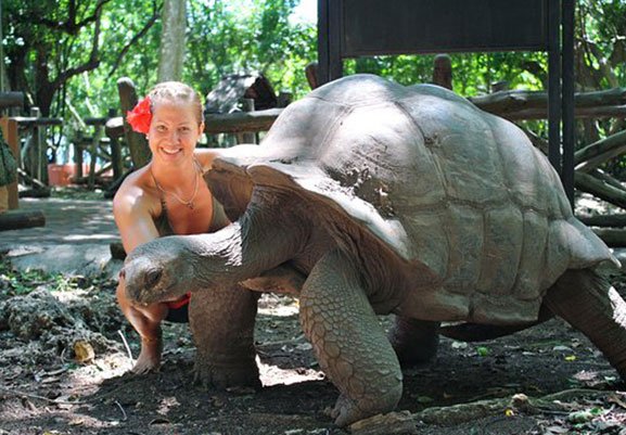 Prison Island & Riesenschildkröten
